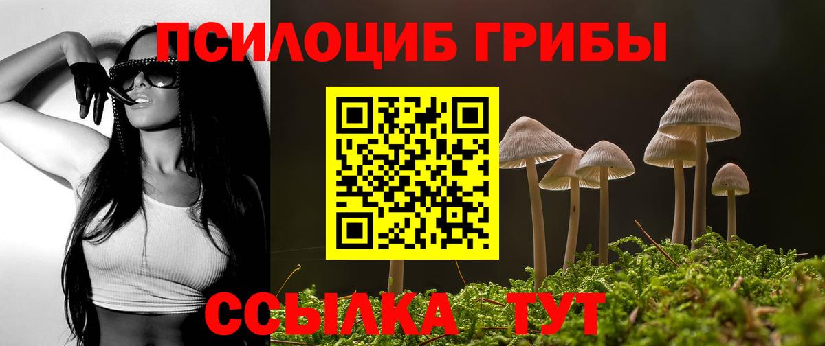 Псилоцибиновые грибы Cubensis Добрянка